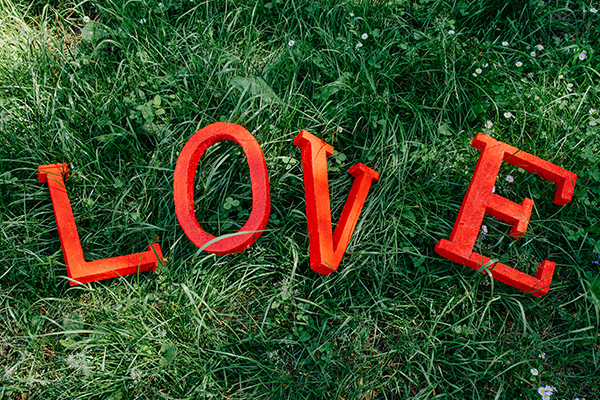 pelouse avec les lettre love en rouge